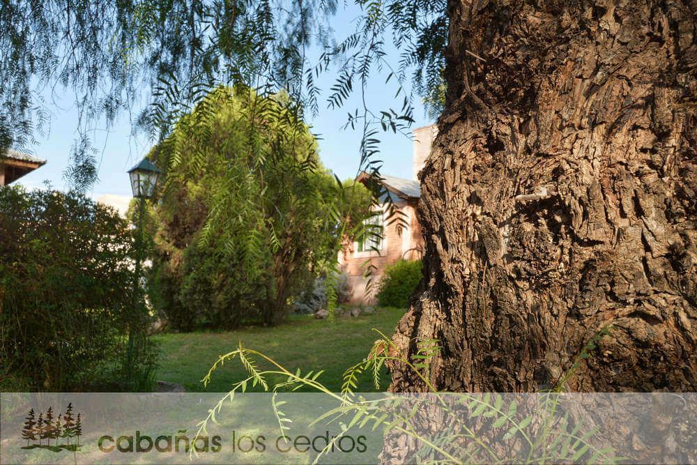 Cabanas Los Cedros Tanti Bagian luar foto